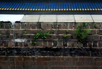 3a�˿˱�������ͼ��Ƶ������ʡ�ڶ�������ʵ���Ⱥ������������Ľ������֮��ʮ��...